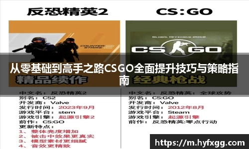 哈哈哈体育